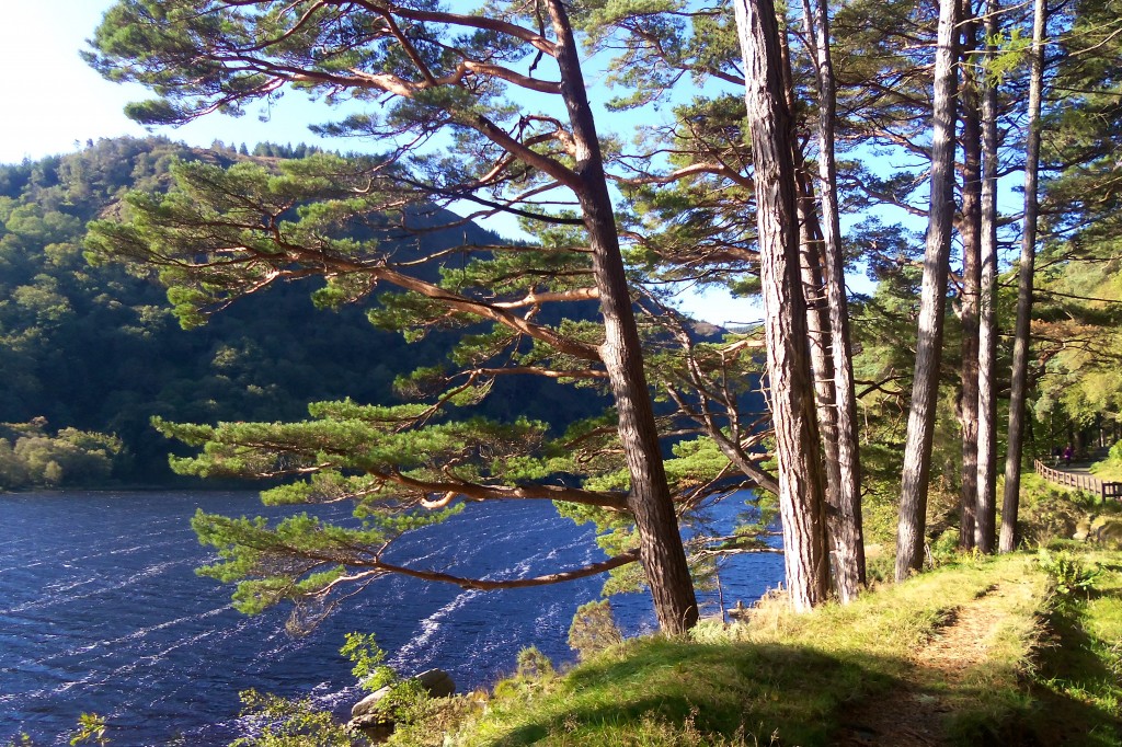 Towards the beginning of our hike - the sunlight was absolutely gorgeous at this time of day!