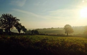 Misty mornings in the countryside